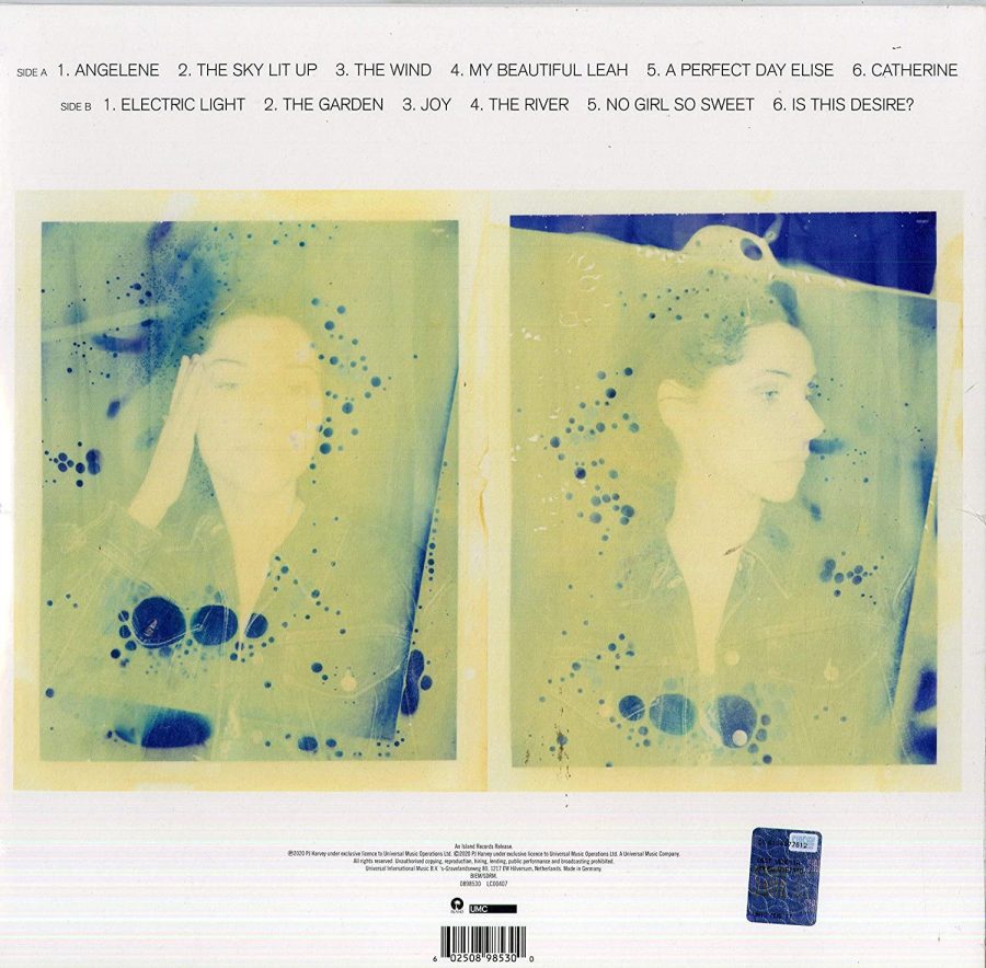 PJ Harvey Is This Desire? - Demos - Plak - Görsel 2