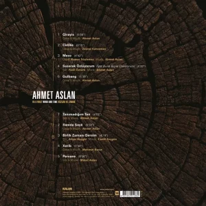 Ahmet Aslan Rüzgar ve Zaman - Plak