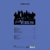 Grup Yorum Sıyrılıp Gelen - Plak