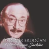 Özdemir Erdoğan Unutulmayan Şarkılar Plak - Görsel 3