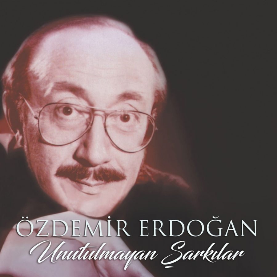 Özdemir Erdoğan Unutulmayan Şarkılar Plak - Görsel 3