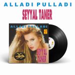 Seyyal Taner Alladı Pulladı - Plak