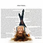 Seyyal Taner Alladı Pulladı - Plak - Görsel 7
