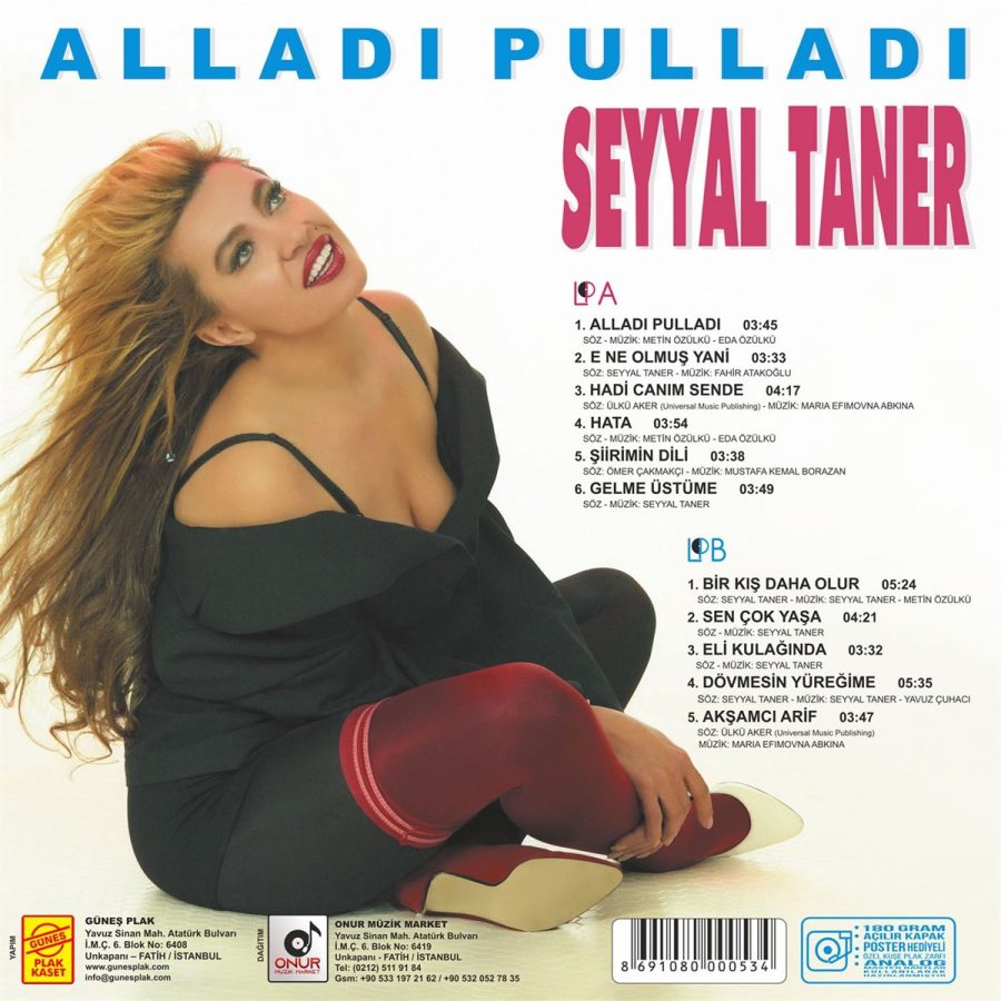 Seyyal Taner Alladı Pulladı - Plak - Görsel 2