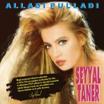 Seyyal Taner Alladı Pulladı - Plak - Görsel 6