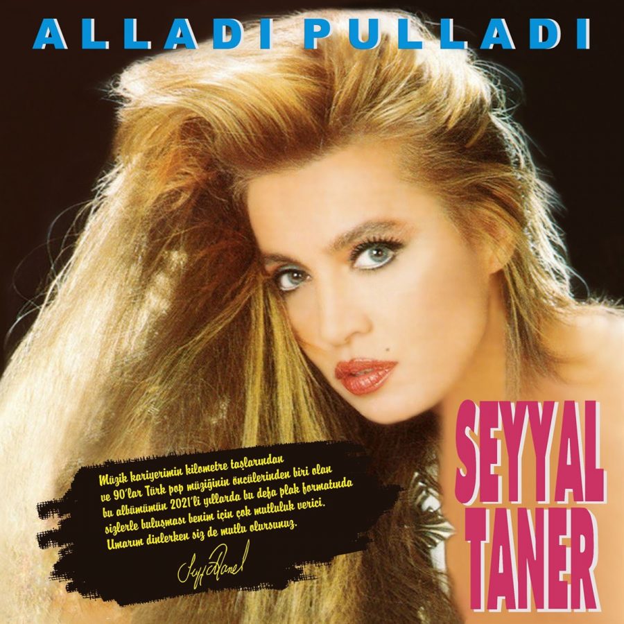 Seyyal Taner Alladı Pulladı - Plak - Görsel 6