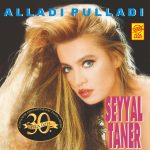 Seyyal Taner Alladı Pulladı - Plak - Görsel 3