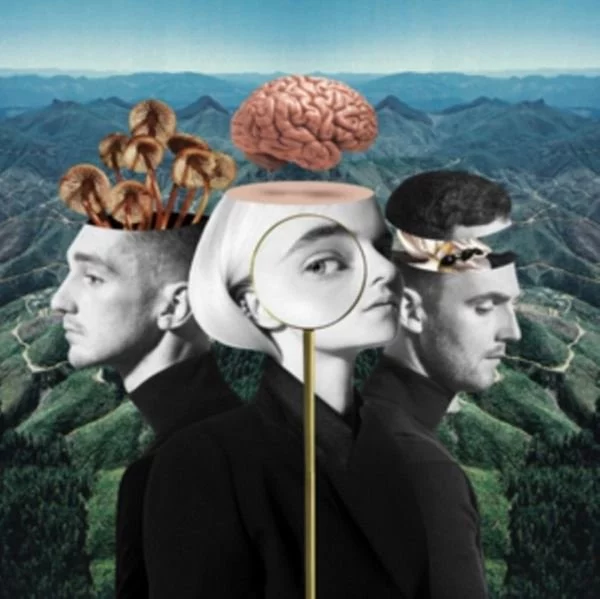 0001913309001-1.jpg Clean Bandit What is Love - Plak - Görsel 1