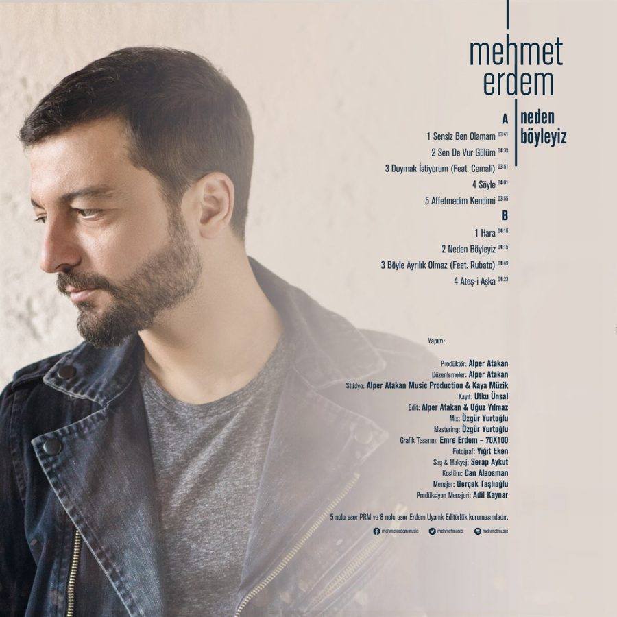 Mehmet Erdem Neden Böyleyiz - Plak - Görsel 2