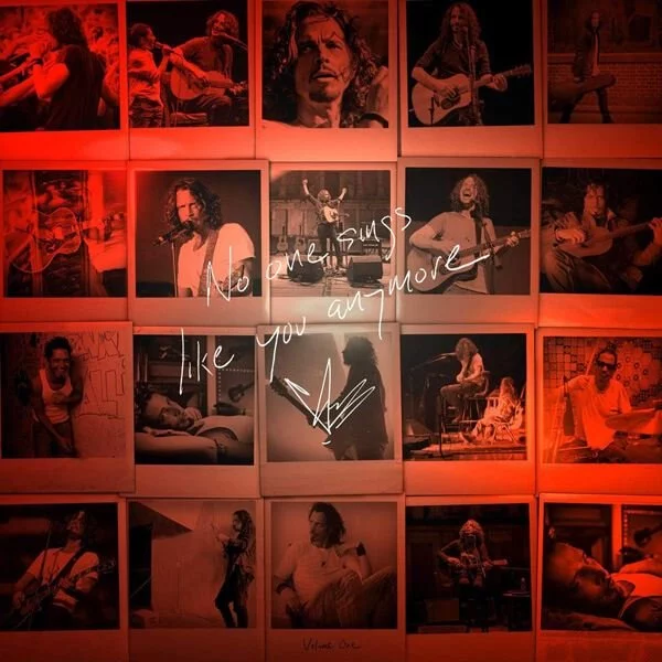 0001921848002-1.jpg Chris Cornell No One Sings Like You Anymore - Plak - Görsel 1