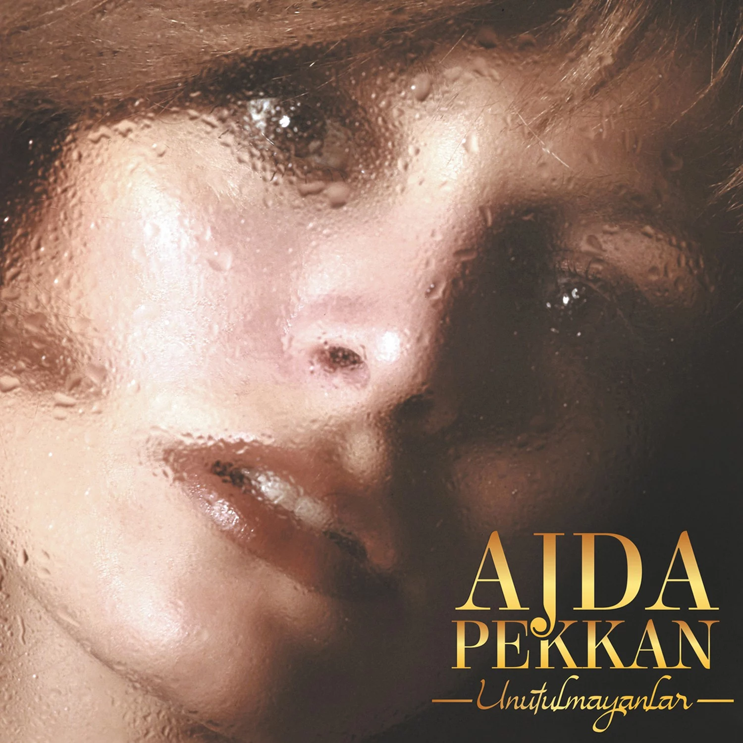 ajda-pekkan-unutulmayanlar-plak Ajda Pekkan Unutulmayanlar - Plak - Görsel 1