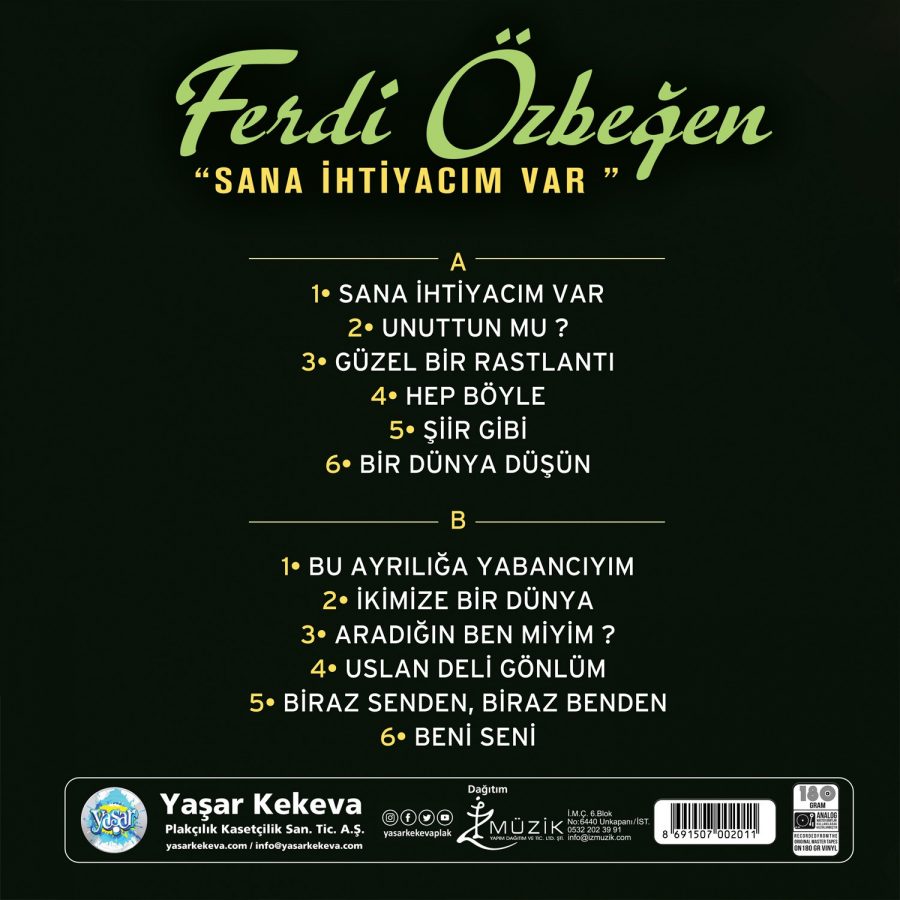 Ferdi Özbeğen Sana İhtiyacım Var - Plak - Görsel 2
