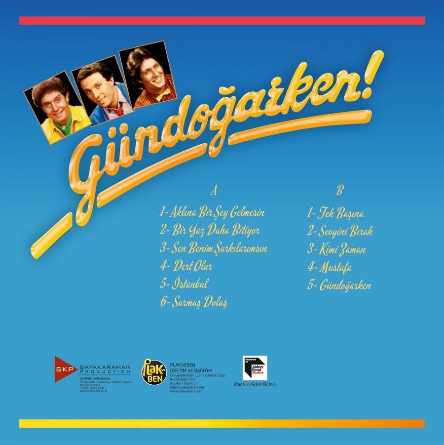 Gündoğarken Bir Yaz Daha Bitiyor - Plak - Görsel 2
