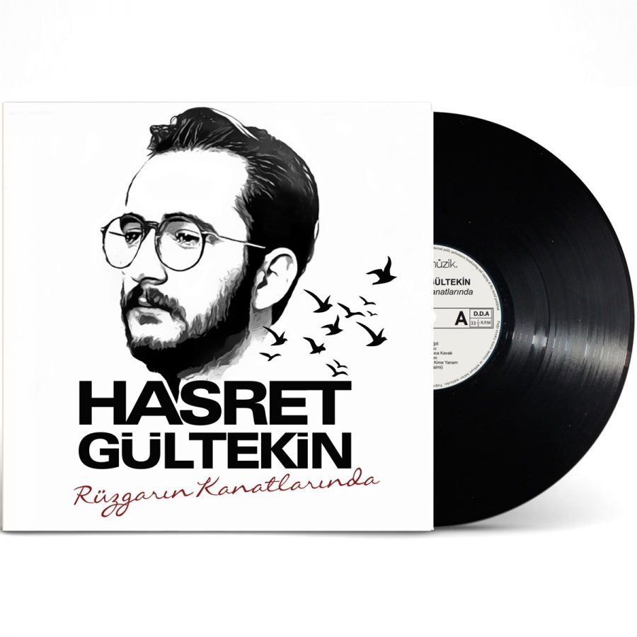Hasret Gültekin Rüzgarın Kanatlarında - Plak - Görsel 4