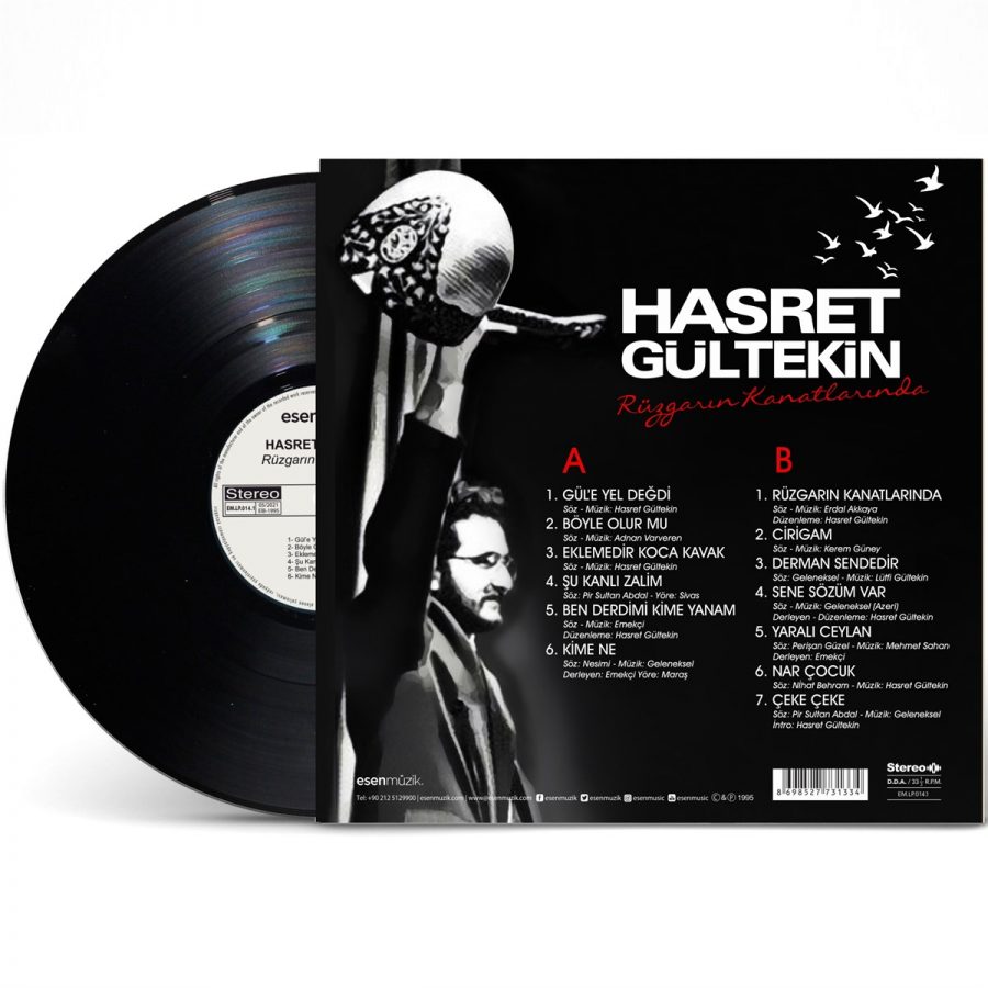 Hasret Gültekin Rüzgarın Kanatlarında - Plak - Görsel 2