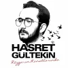 Hasret Gültekin Rüzgarın Kanatlarında - Plak