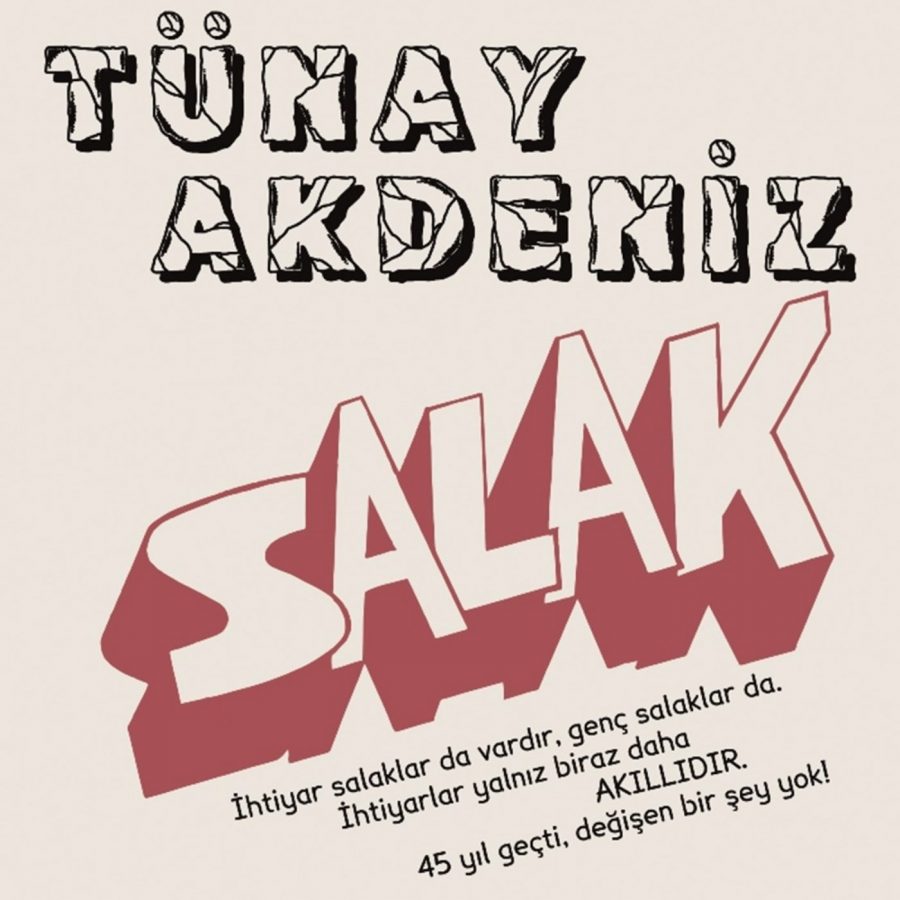 Tünay Akdeniz Salak 45'lik Single Renkli - Plak - Görsel 3