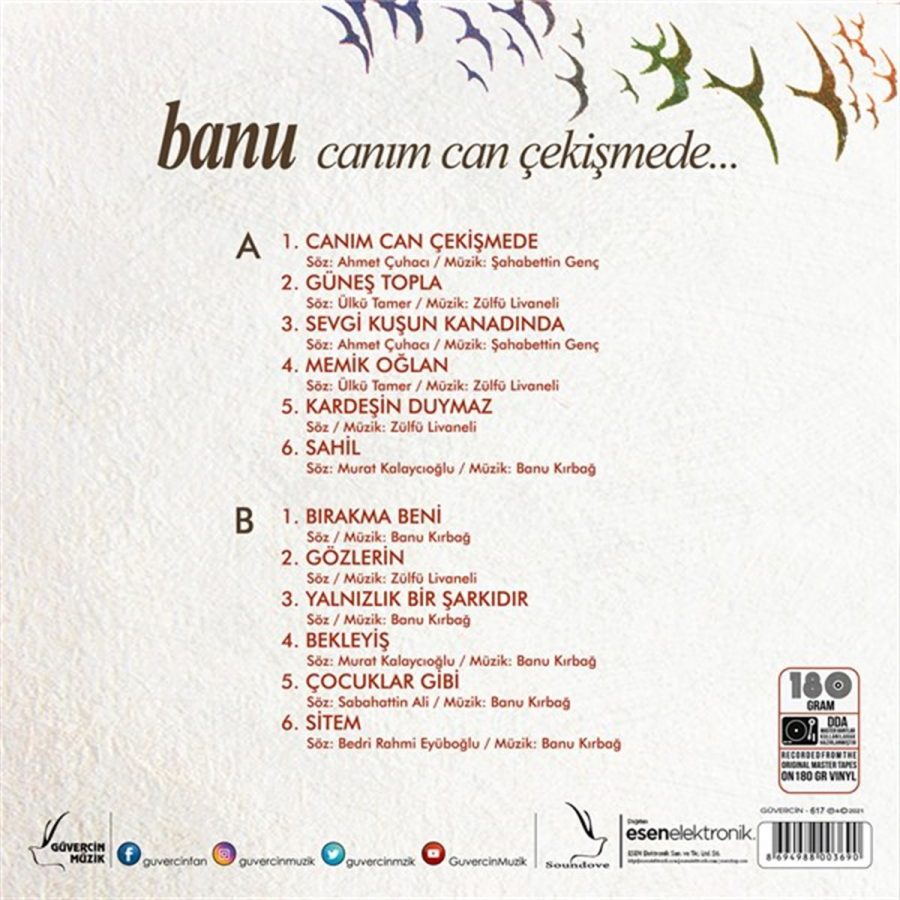 Banu Canım Can Çekişmede - Plak + Özel Tasarımlı İç Zarf - Görsel 2