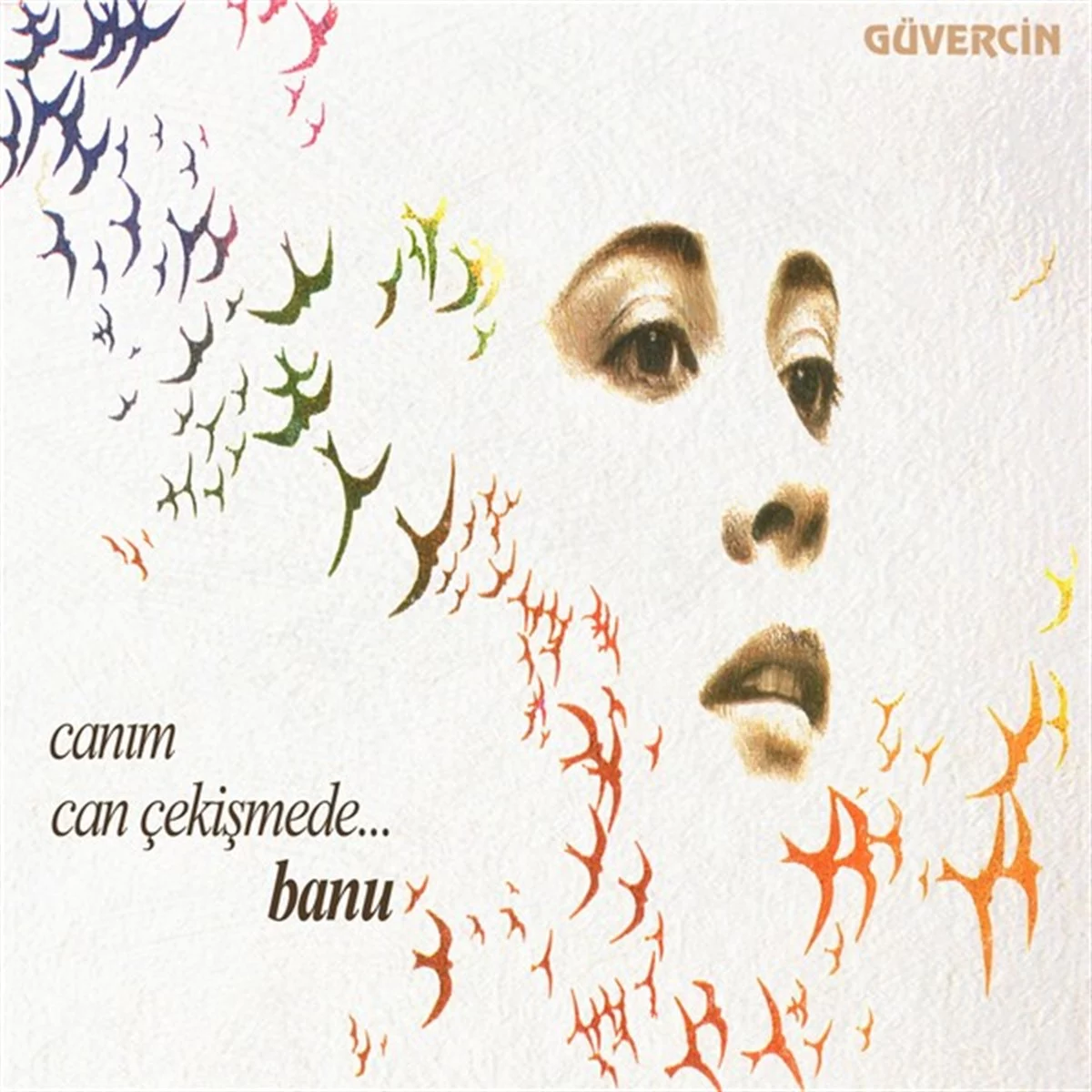 banu-canim-can-cekismede-plak-ozel-tasarimli-ic-zarf Banu Canım Can Çekişmede - Plak + Özel Tasarımlı İç Zarf - Görsel 1