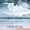 Feridun Düzağaç Sakin - Plak
