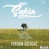 Feridun Düzağaç Sakin - Plak - Görsel 2