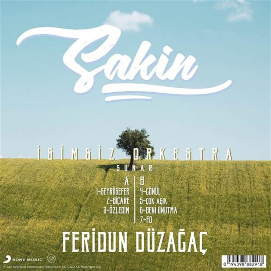 Feridun Düzağaç Sakin - Plak - Görsel 2
