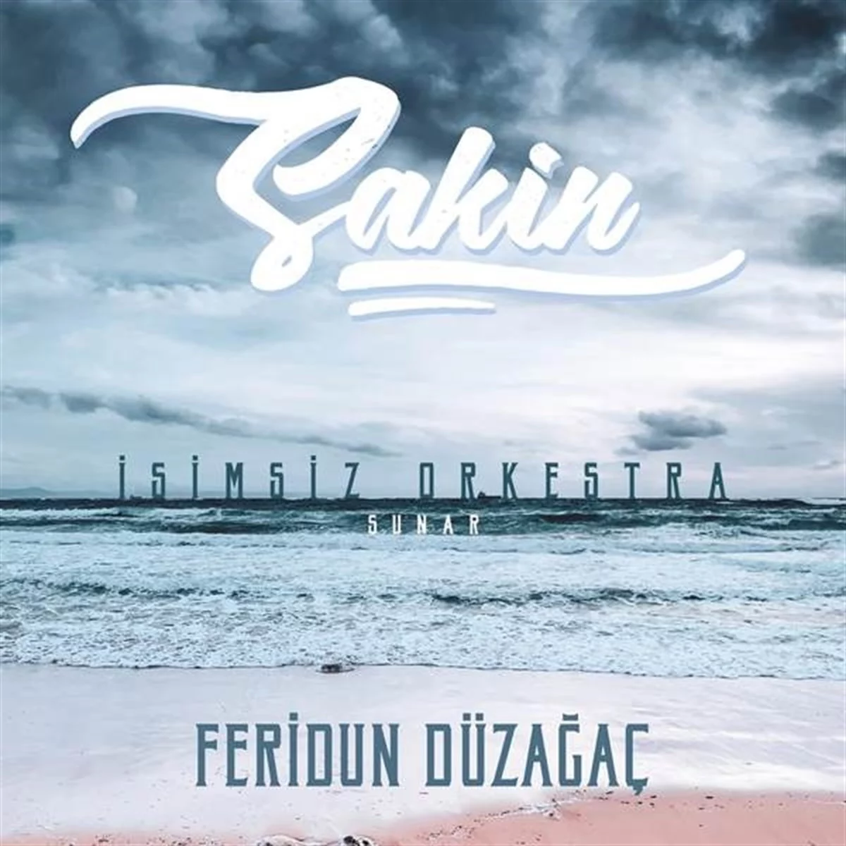 feridun-duzagac-sakin-plak Feridun Düzağaç Sakin - Plak - Görsel 1