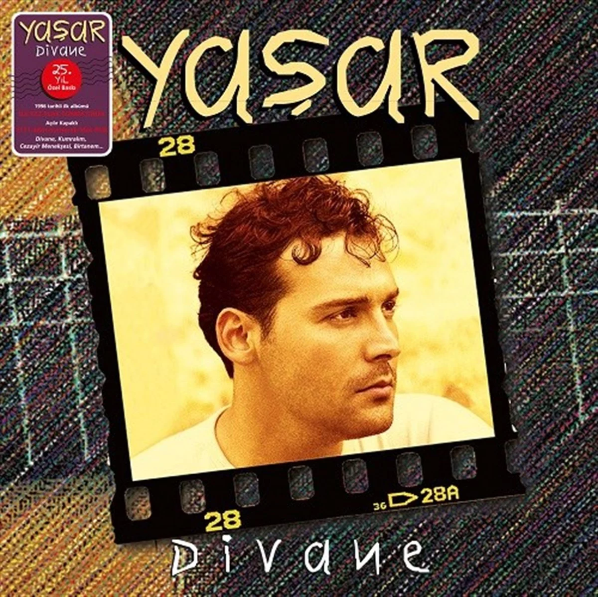 yasar-divane-mor-plak Yaşar Divane - Mor Plak - Görsel 1