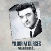 Yıldırım Gürses Ayla Gürses İle - Plak