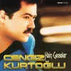 Cengiz Kurtoğlu Hain Geceler - Plak
