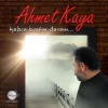 Ahmet Kaya Kalsın Benim Davam - Plak