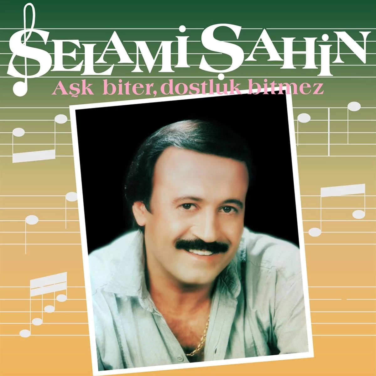 selami-sahin-ask-biter-dostluk-bitmez-plak Selami Şahin Aşk Biter Dostluk Bitmez - Plak - Görsel 1