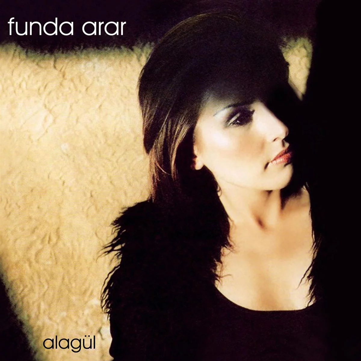 funda-arar-alagul-plak Funda Arar Alagül - Plak - Görsel 1