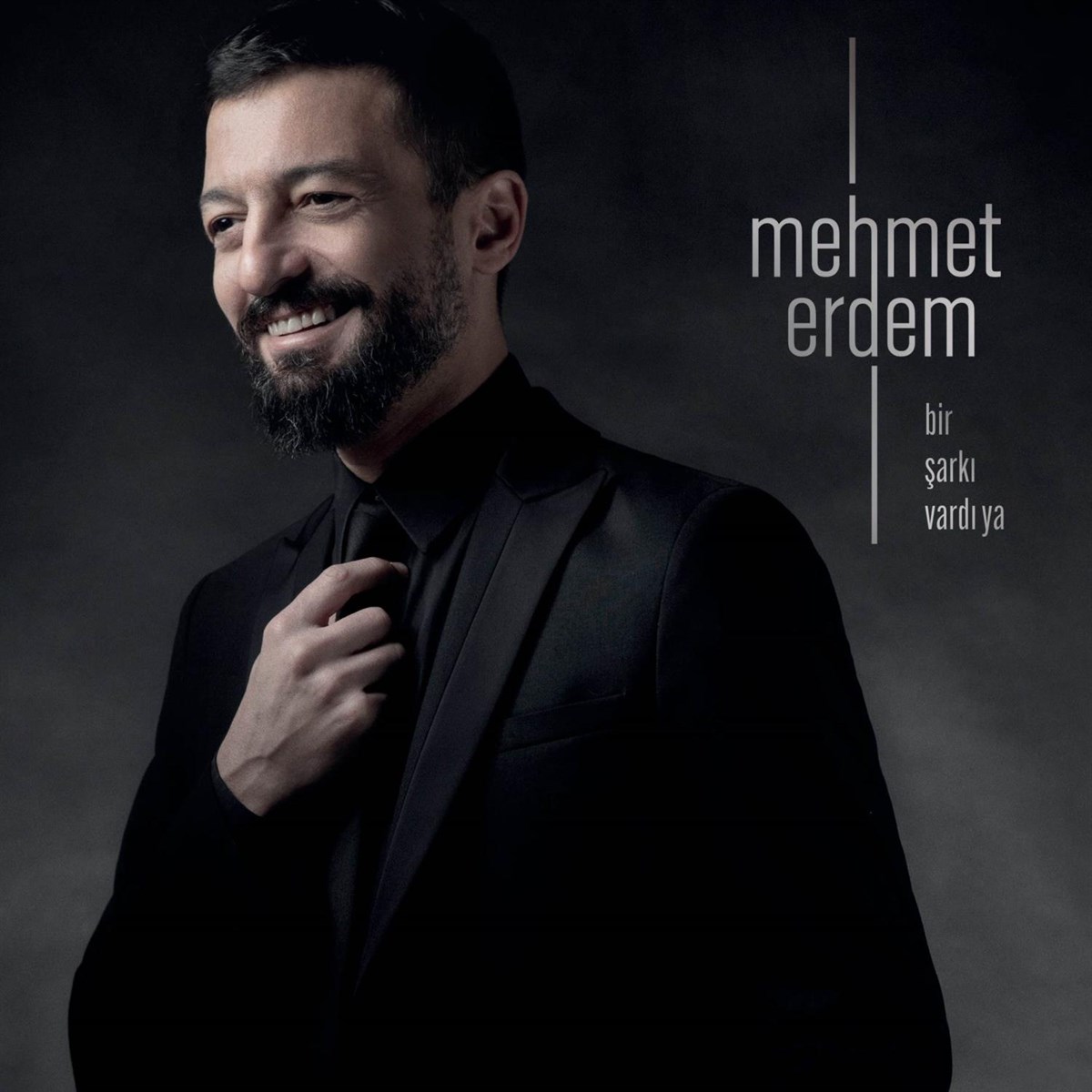 Mehmet Erdem Bir Şarkı Vardı Ya – Plak