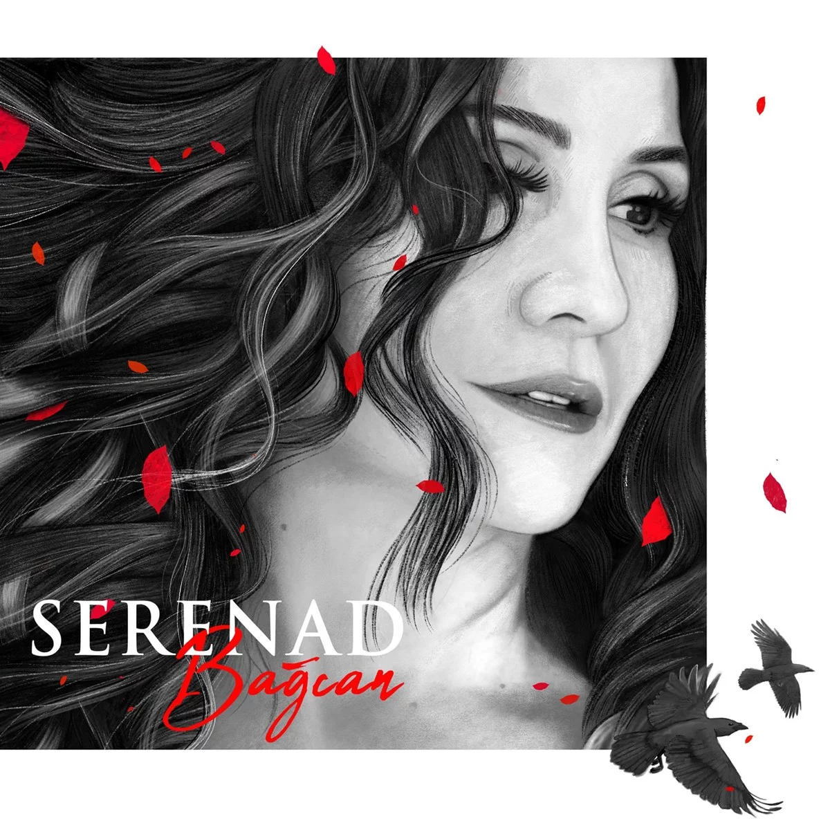serenad-bagcan-serenad-plak Serenad Bağcan Serenad - Plak - Görsel 1