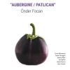 Önder Foçan Aubergine Patlıcan Enstrümantal - Plak