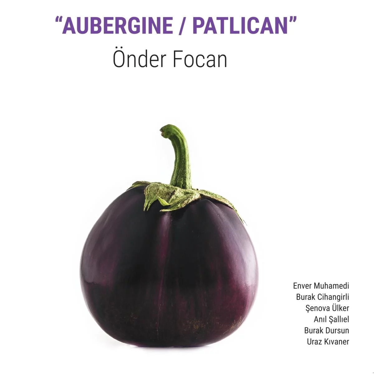 onder-focan-aubergine-patlican-enstrumantal-plak Önder Foçan Aubergine Patlıcan Enstrümantal - Plak - Görsel 1