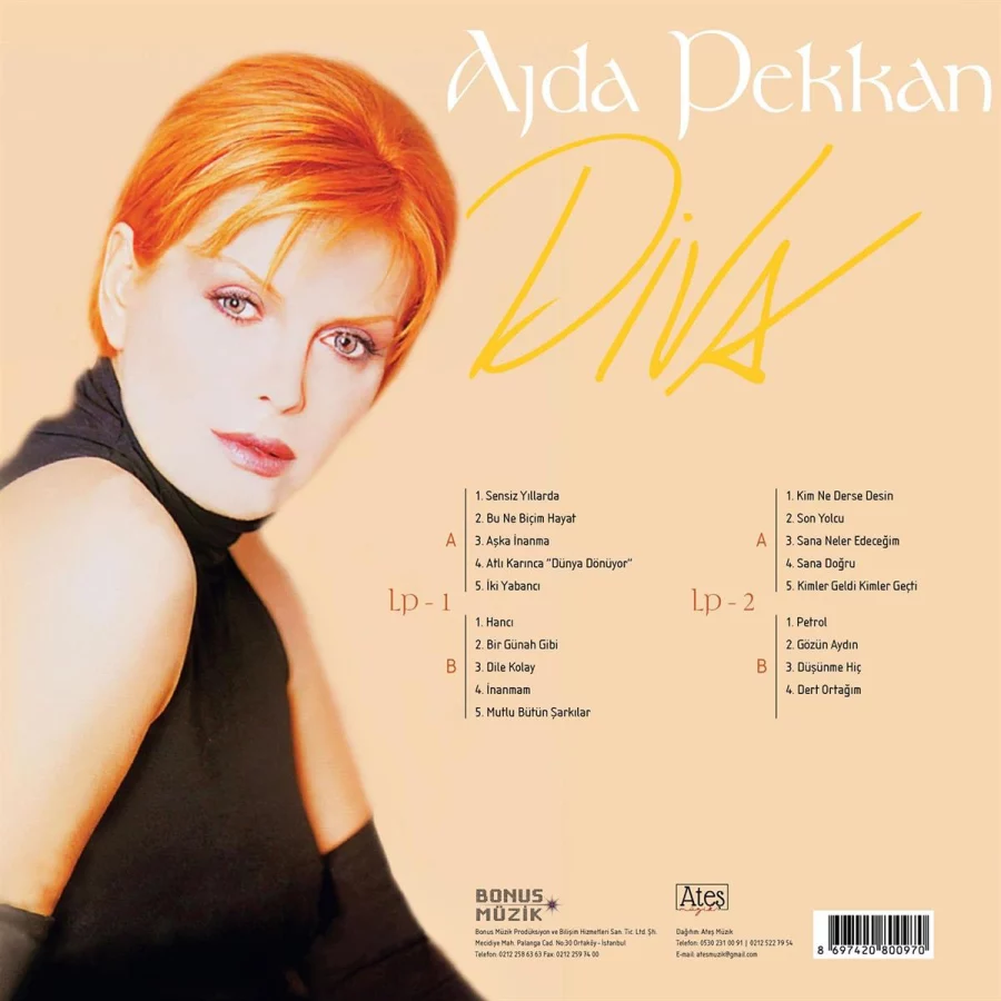 Ajda Pekkan Diva - 2 Plak - Görsel 2