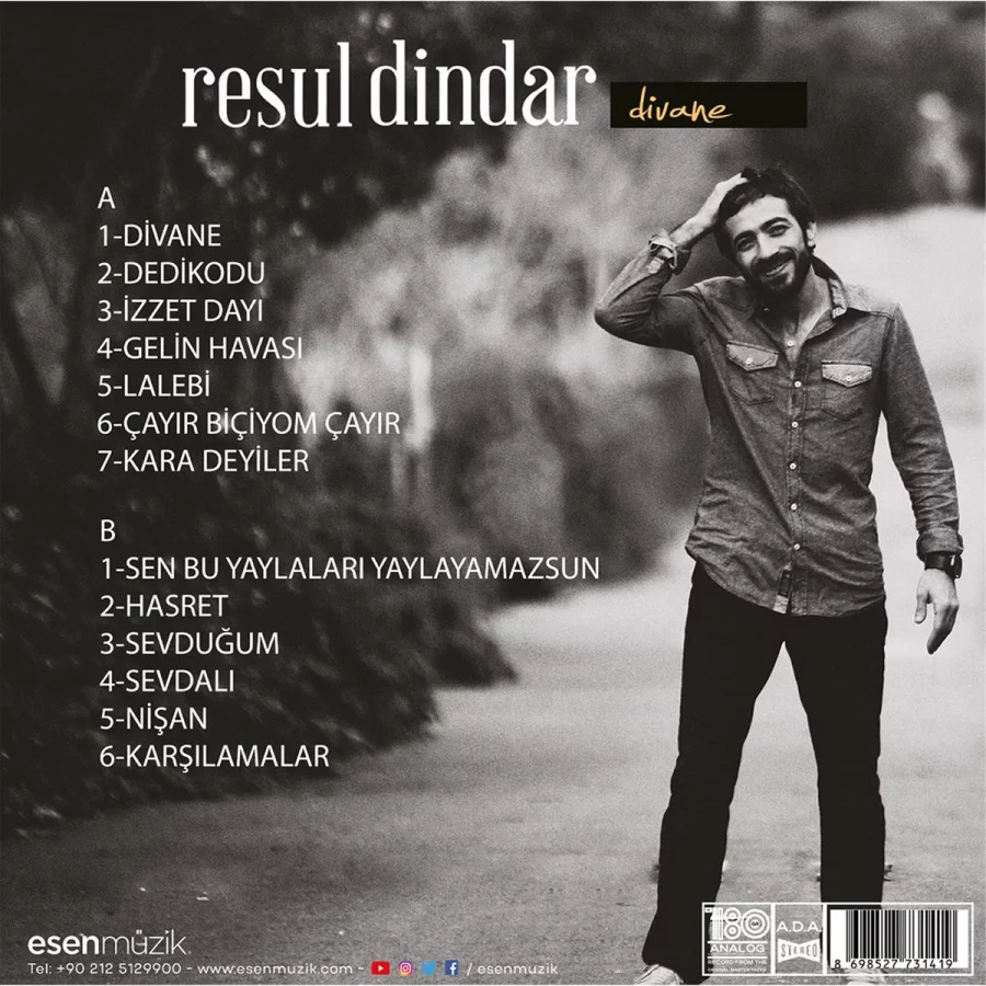 Resul Dindar Divane - Plak - Görsel 2