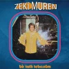 Zeki Müren Bir Tatlı Tebessüm & Beklenen Şarkı - Plak