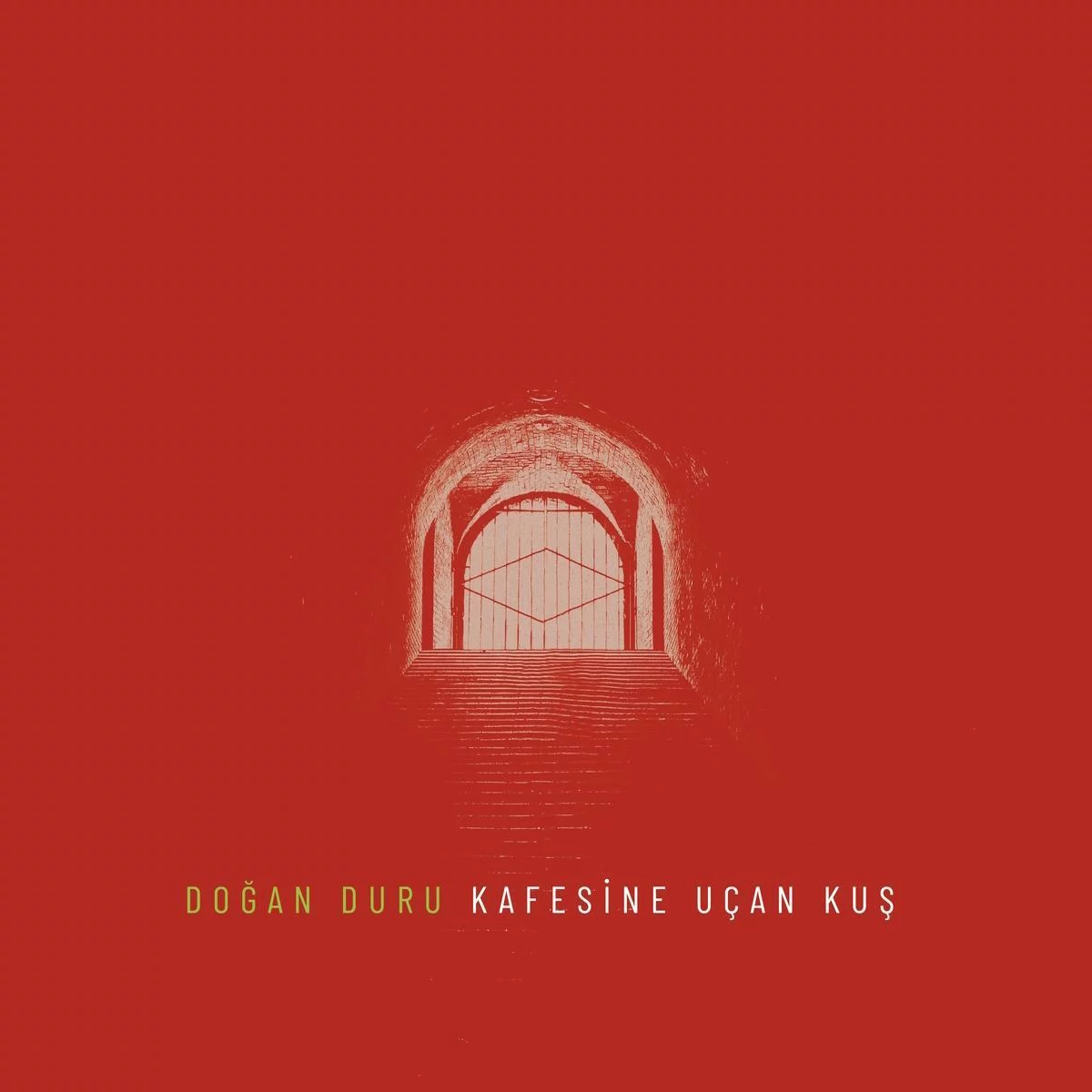 dogan-duru-kafesine-ucan-kus-2-plak Doğan Duru Kafesine Uçan Kuş - 2 Plak - Görsel 1