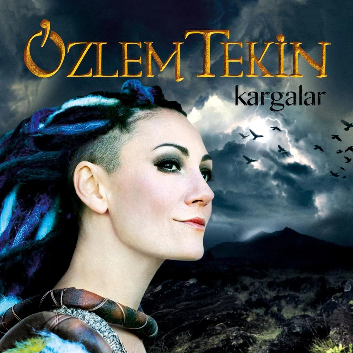 ozlem-tekin-kargalar-plak Özlem Tekin Kargalar - Plak - Görsel 1