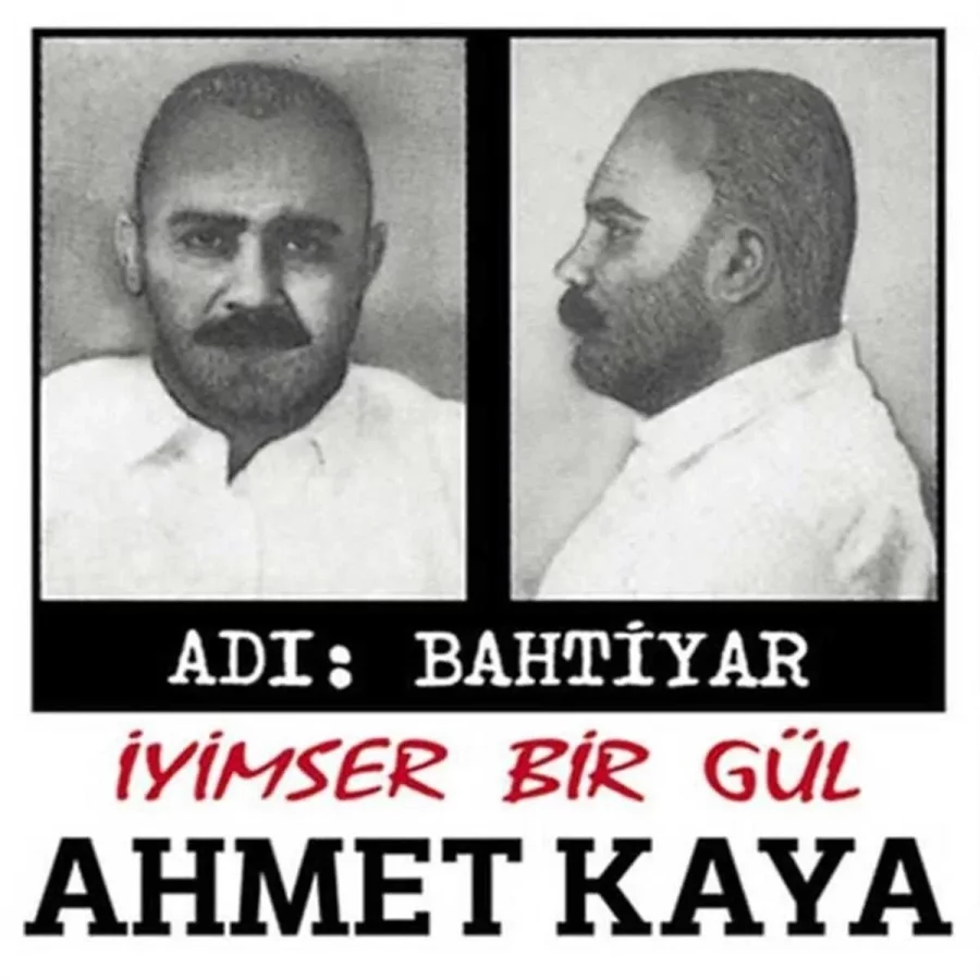 Ahmet Kaya - Adı Bahtiyar - İyimser Bir Gül (- Renkli Plak - Görsel 2