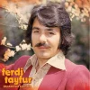 Ferdi Tayfur Baharımsın Kışımsın - Plak