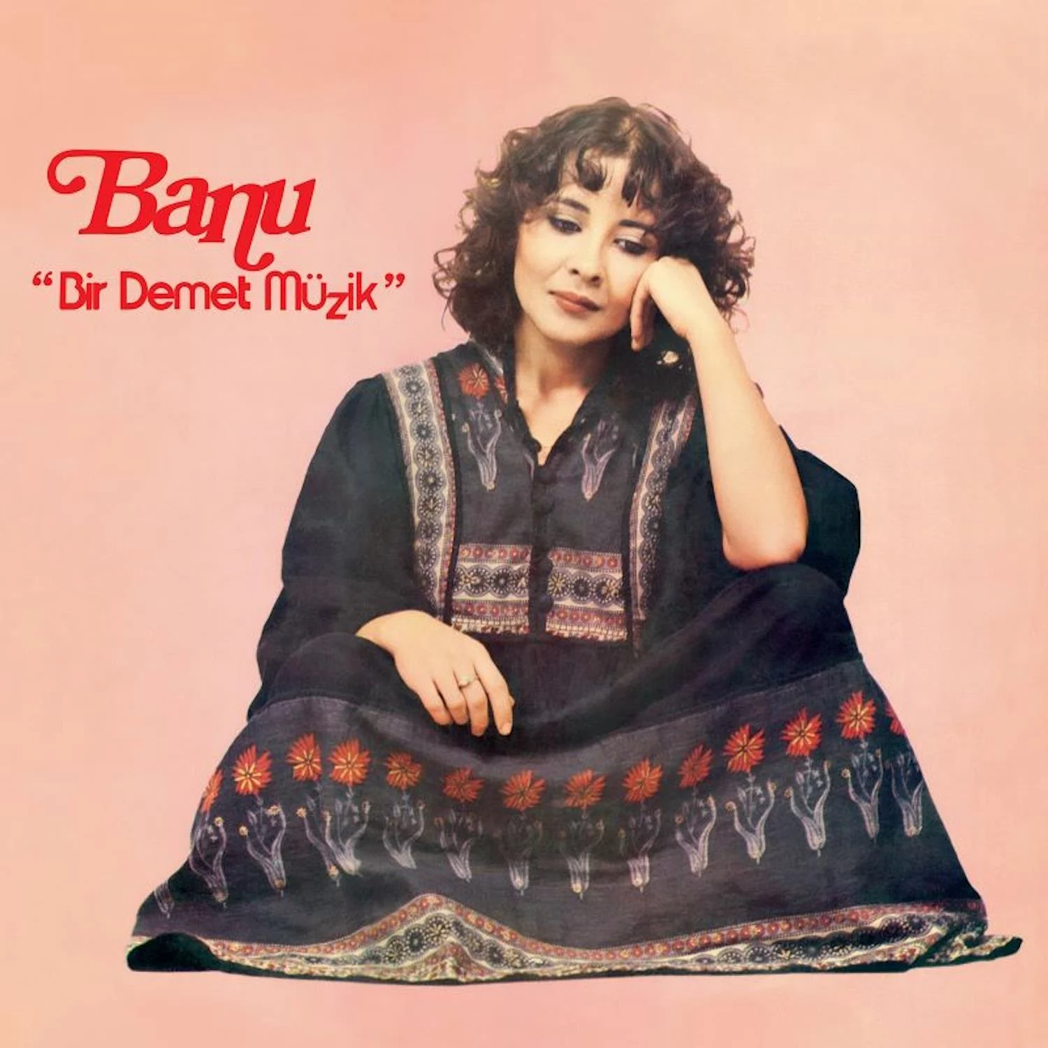 banu-bir-demet-muzik-plak Banu Bir Demet Müzik - Plak - Görsel 1