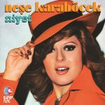 Neşe Karaböcek Niyet - Plak