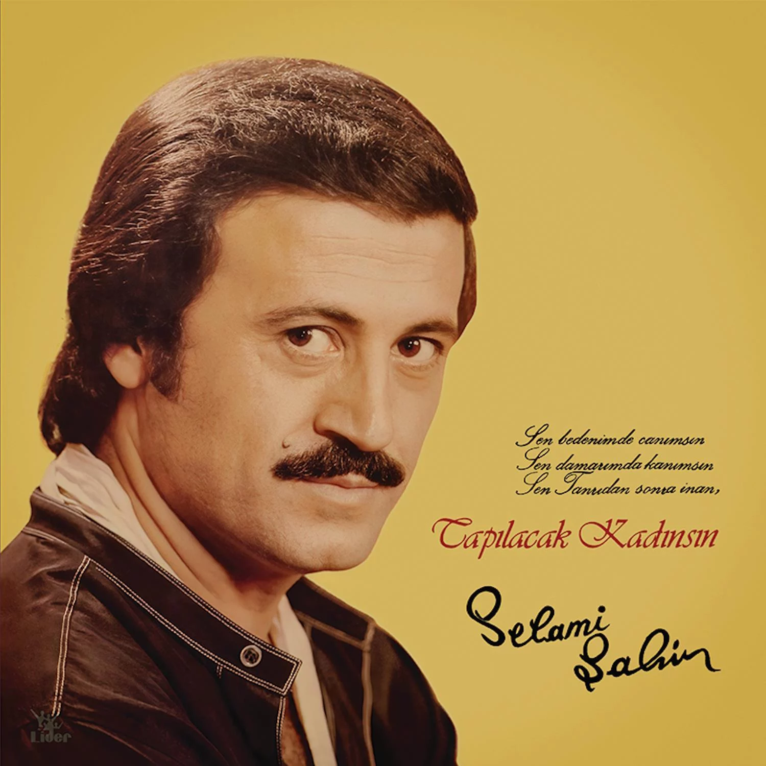 selami-sahin-tapilacak-kadinsin-plak Selami Şahin Tapılacak Kadınsın - Plak - Görsel 1
