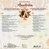 Pop Folk From Anatolia - Renkli Plak - Görsel 2