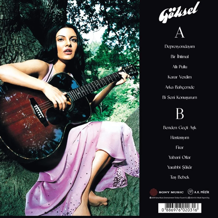 Göksel 2001 / 2007 En İyileri - Plak - Görsel 2