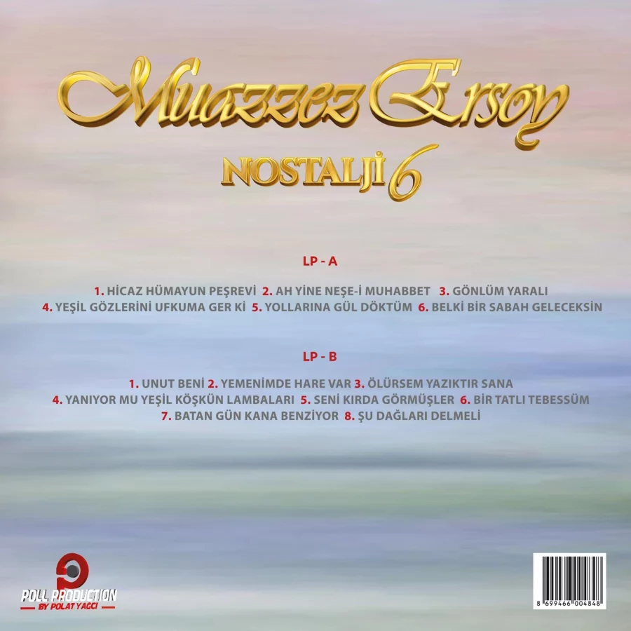 Muazzez Ersoy Nostalji 6 - Plak - Görsel 2